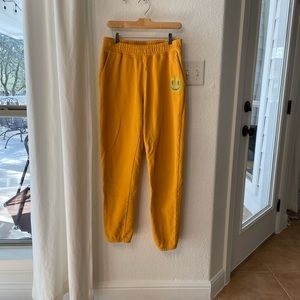 Outdoor voices sweats pants